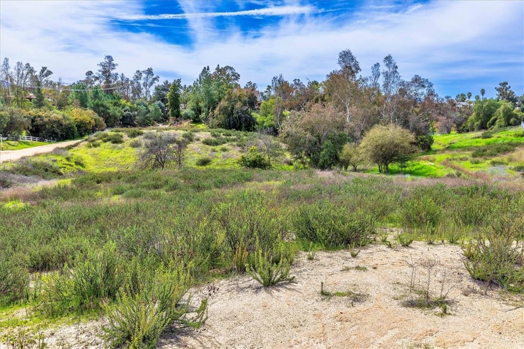 39695 Camino Del Vino