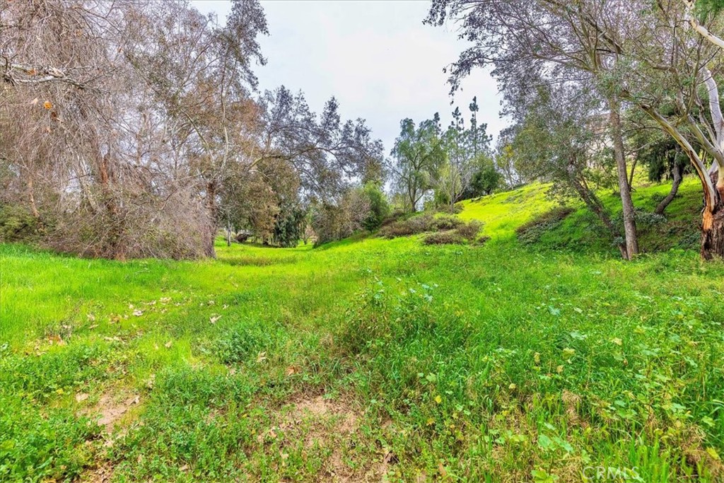 39695 Camino Del Vino