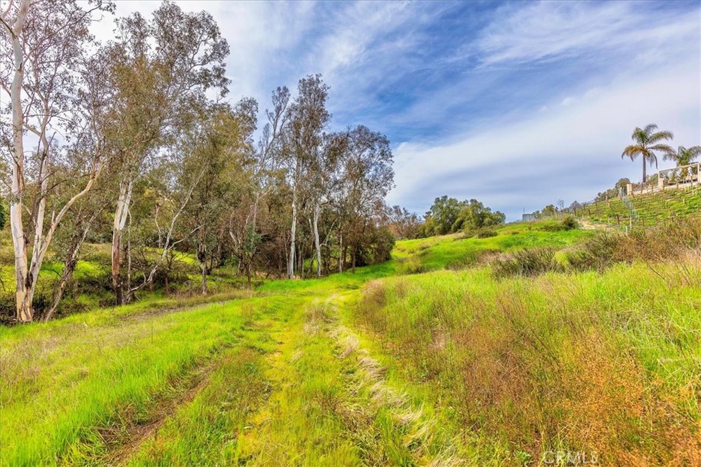 39695 Camino Del Vino