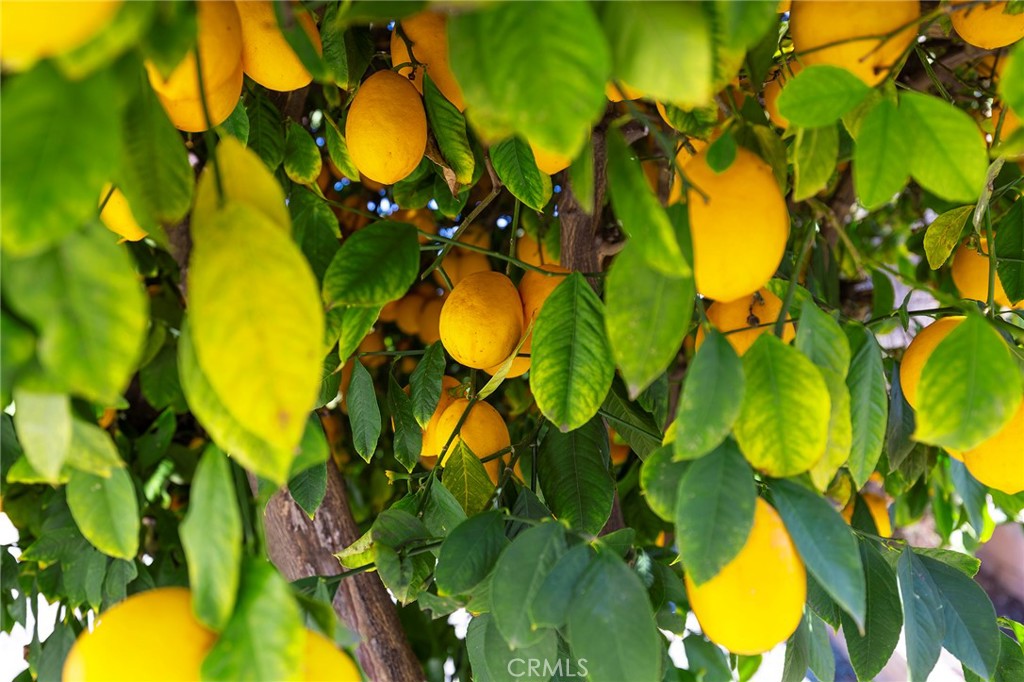 28524 E Worcester Road