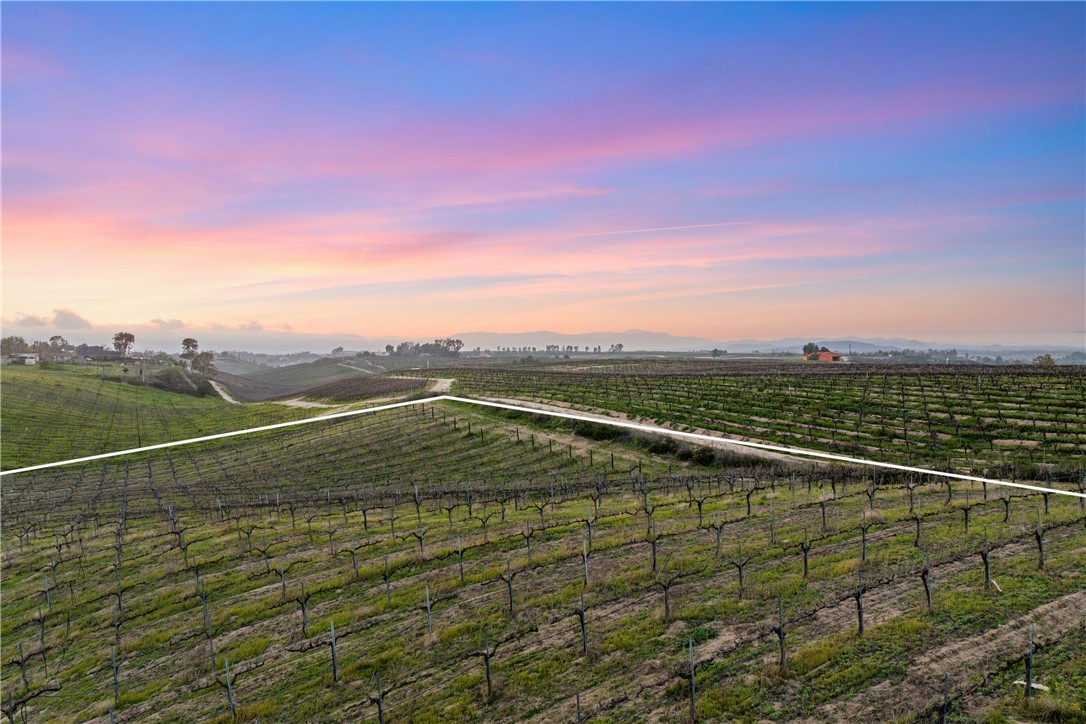 33890 Madera De Playa