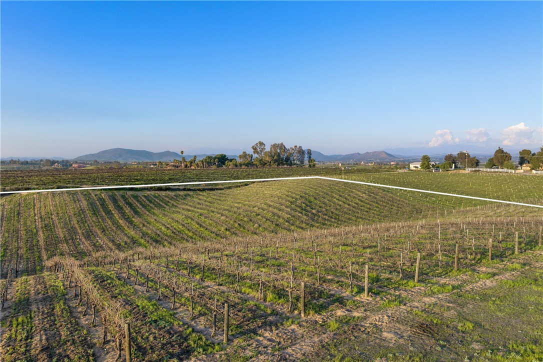 33890 Madera De Playa