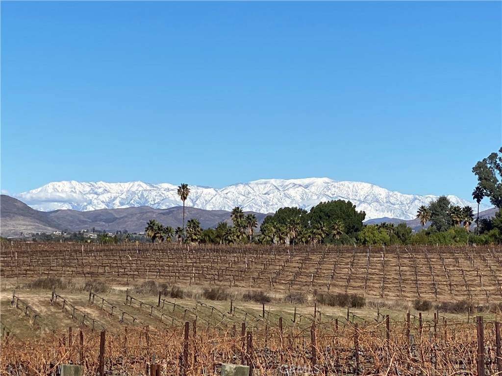 33890 Madera De Playa