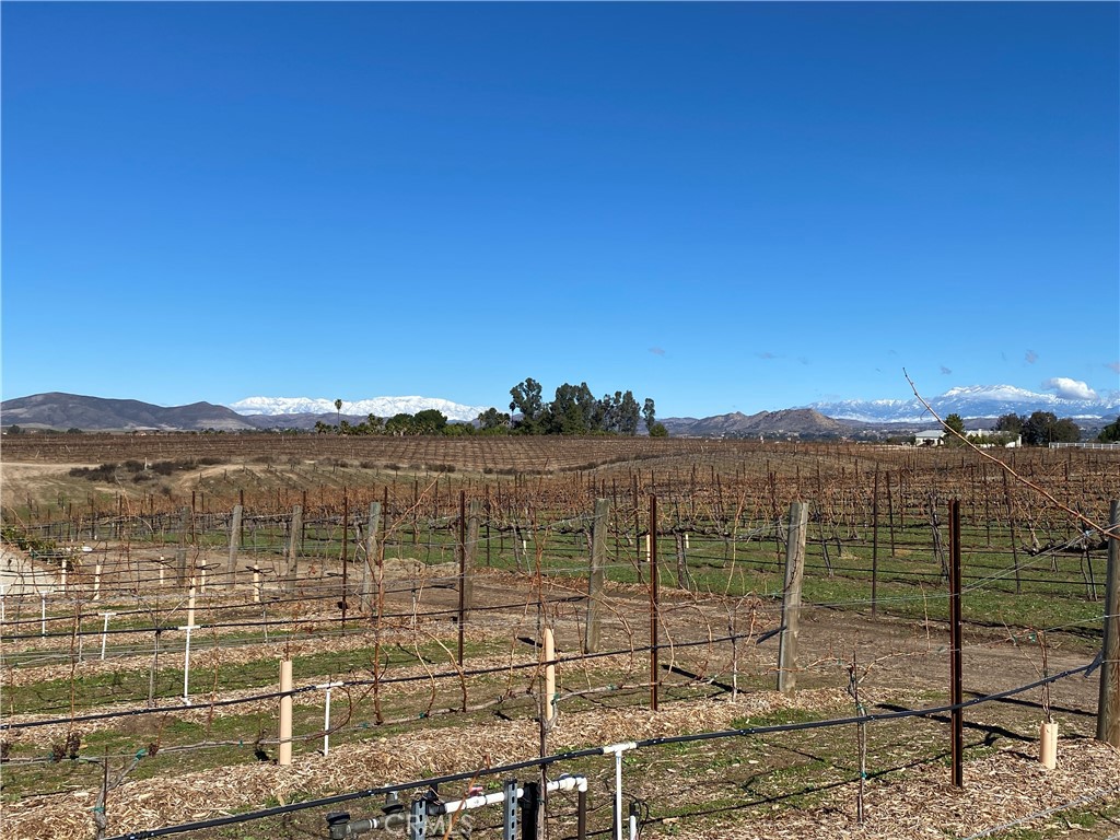 33890 Madera De Playa