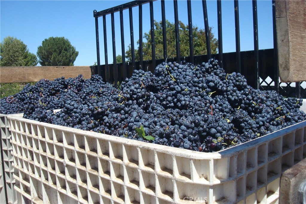 33890 Madera De Playa