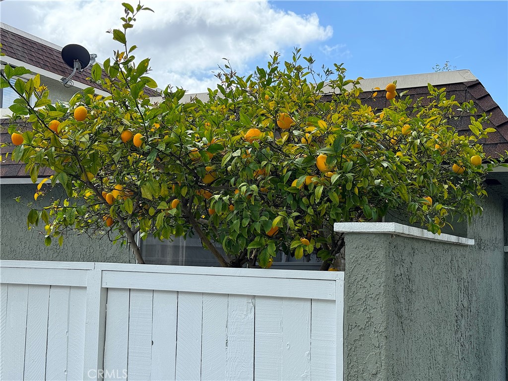 23082 Via Pimiento E1