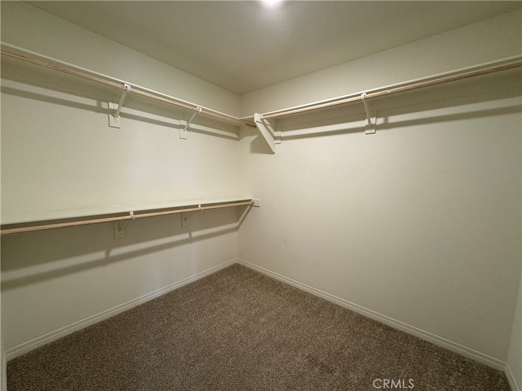 41976 Rondo Street 2602