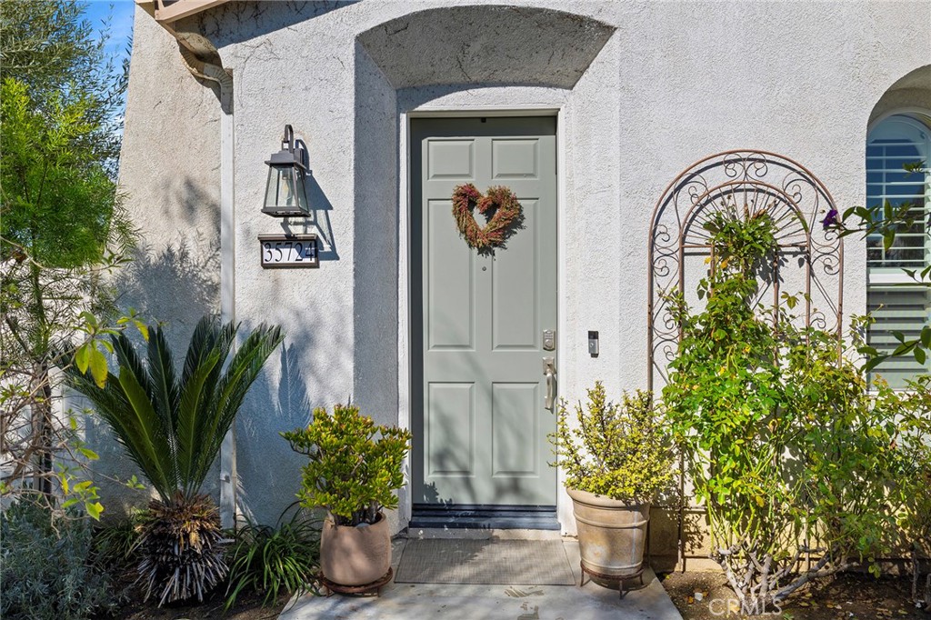 35724 Kittentails Lane