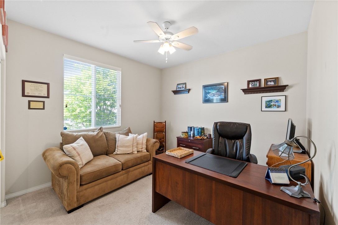 31413 Boston Ivy Circle