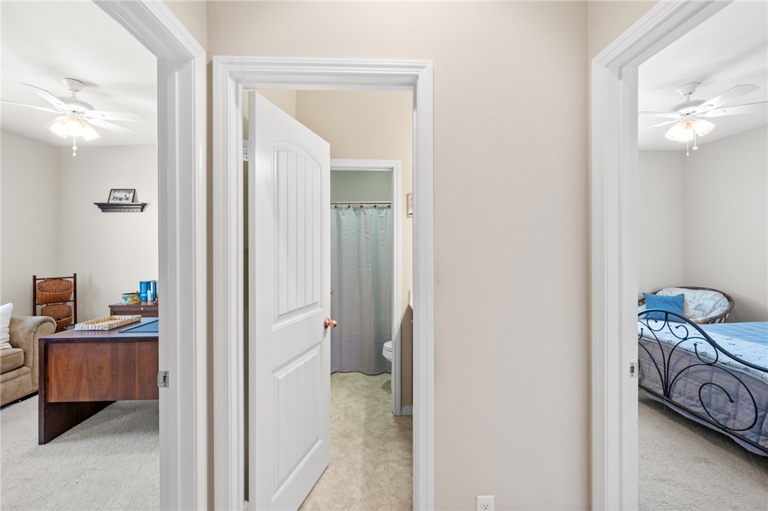 31413 Boston Ivy Circle