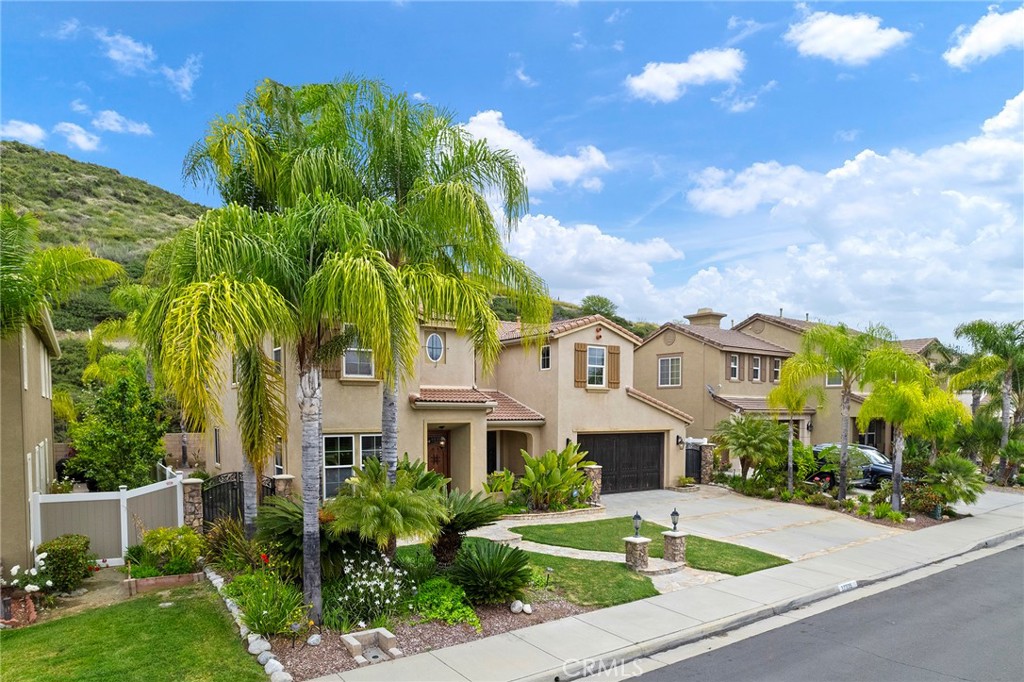 27335 Snowfield Street