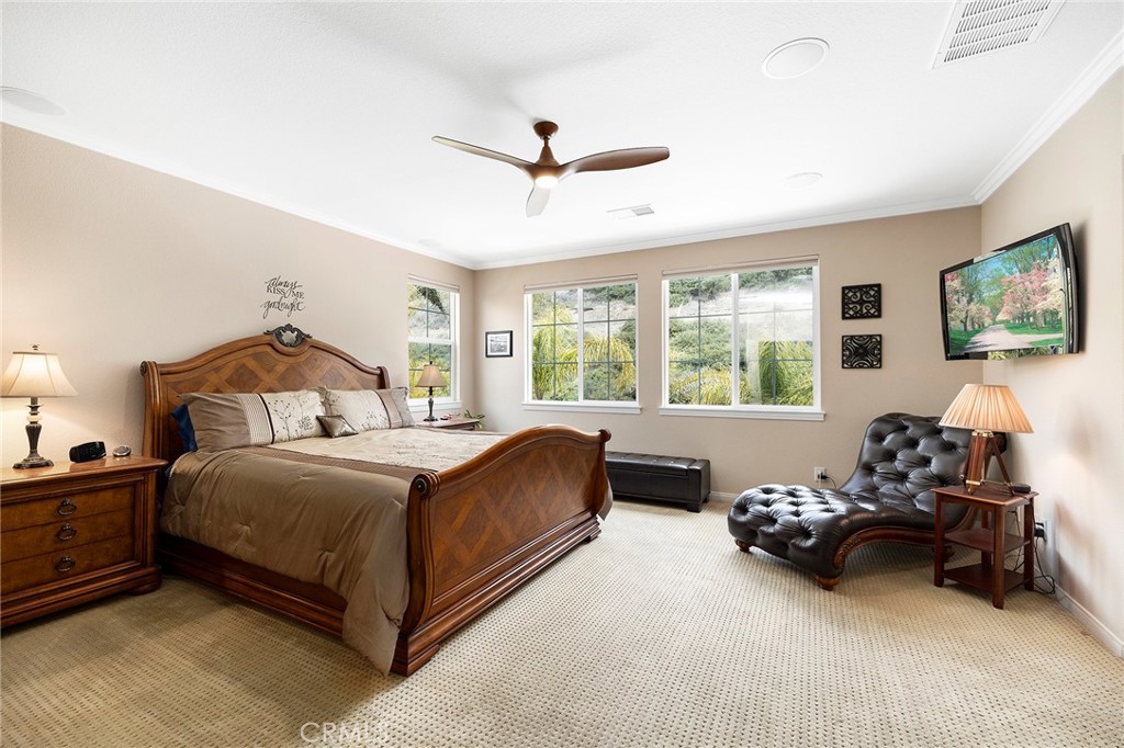 27335 Snowfield Street