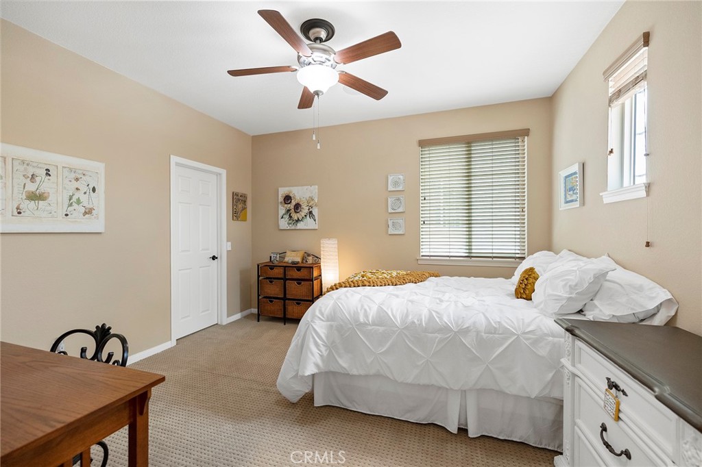 27335 Snowfield Street