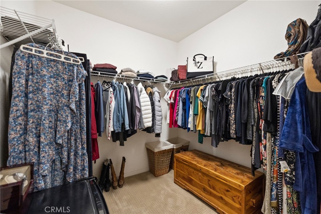 27335 Snowfield Street