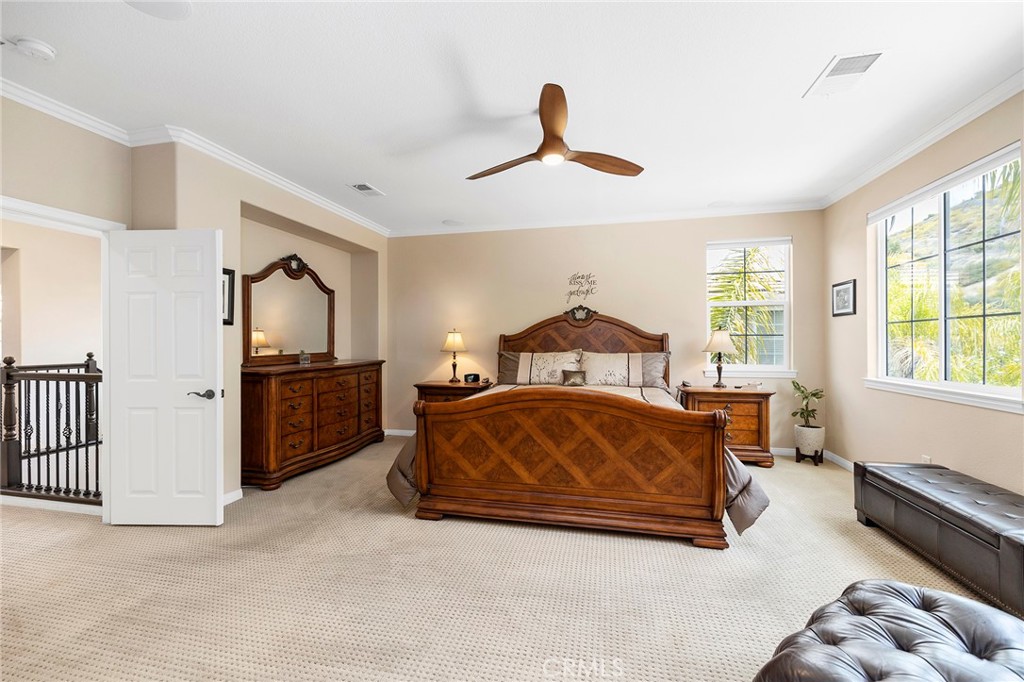 27335 Snowfield Street