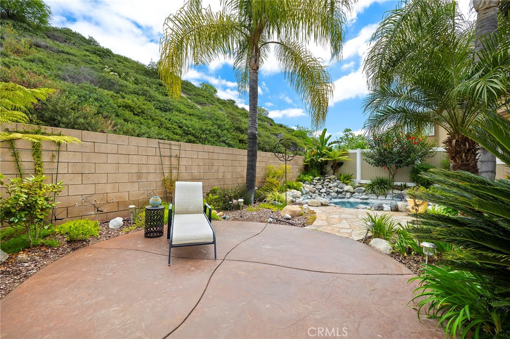 27335 Snowfield Street