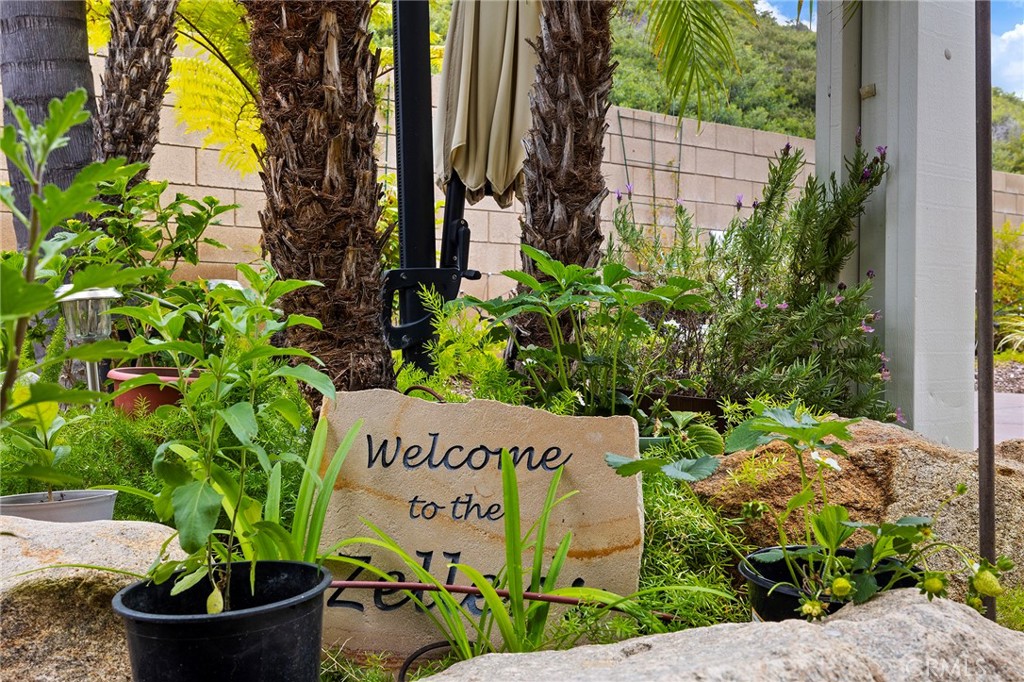 27335 Snowfield Street