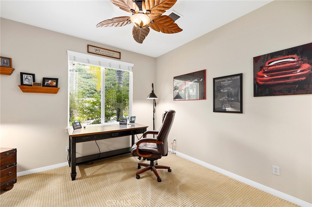 27335 Snowfield Street