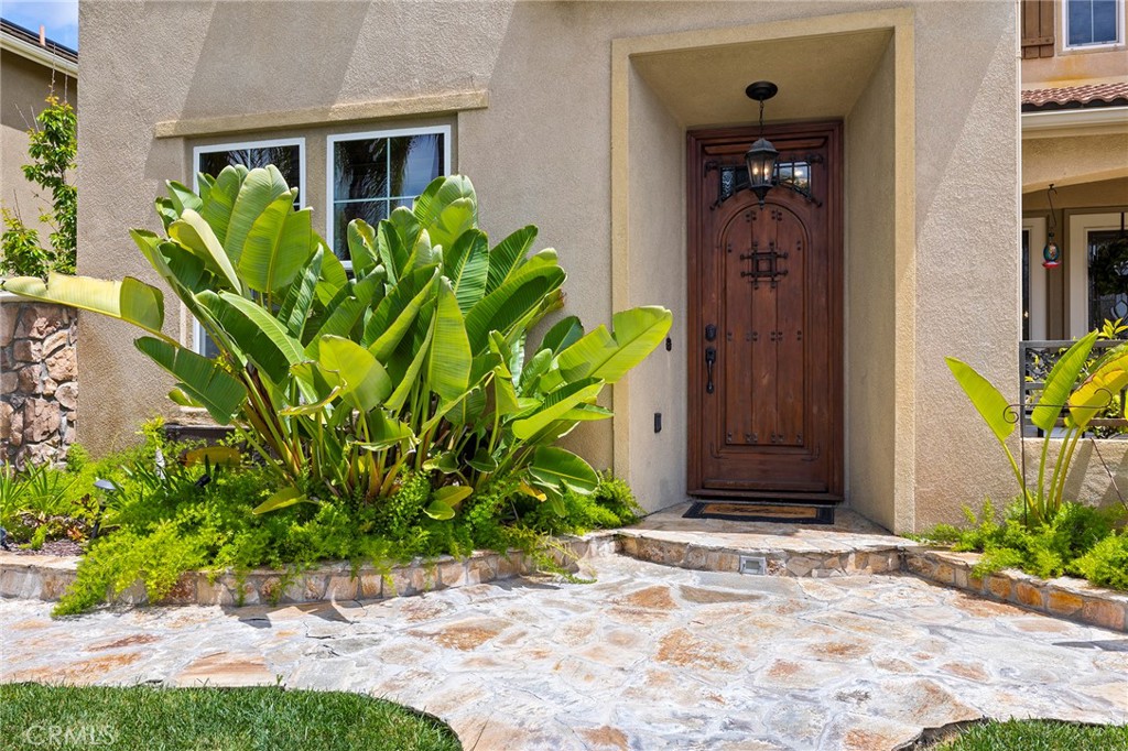 27335 Snowfield Street