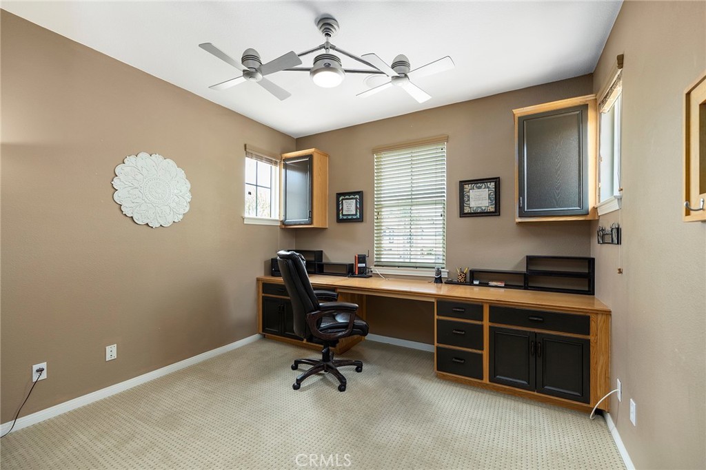 27335 Snowfield Street