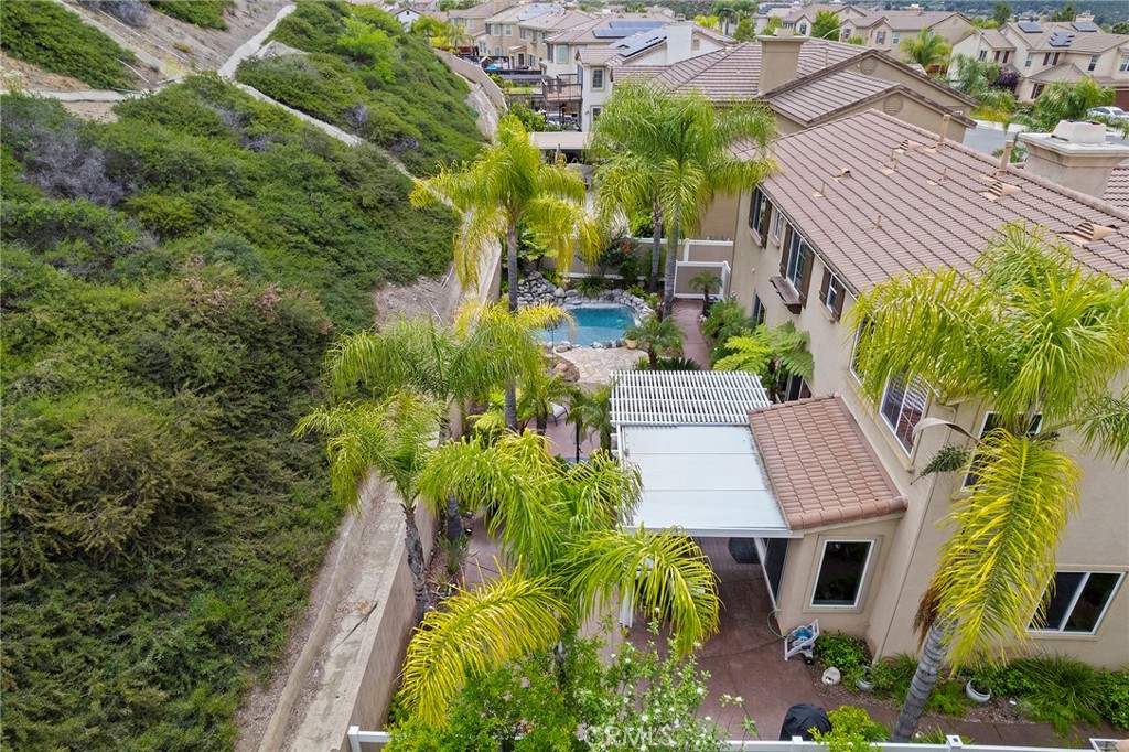 27335 Snowfield Street