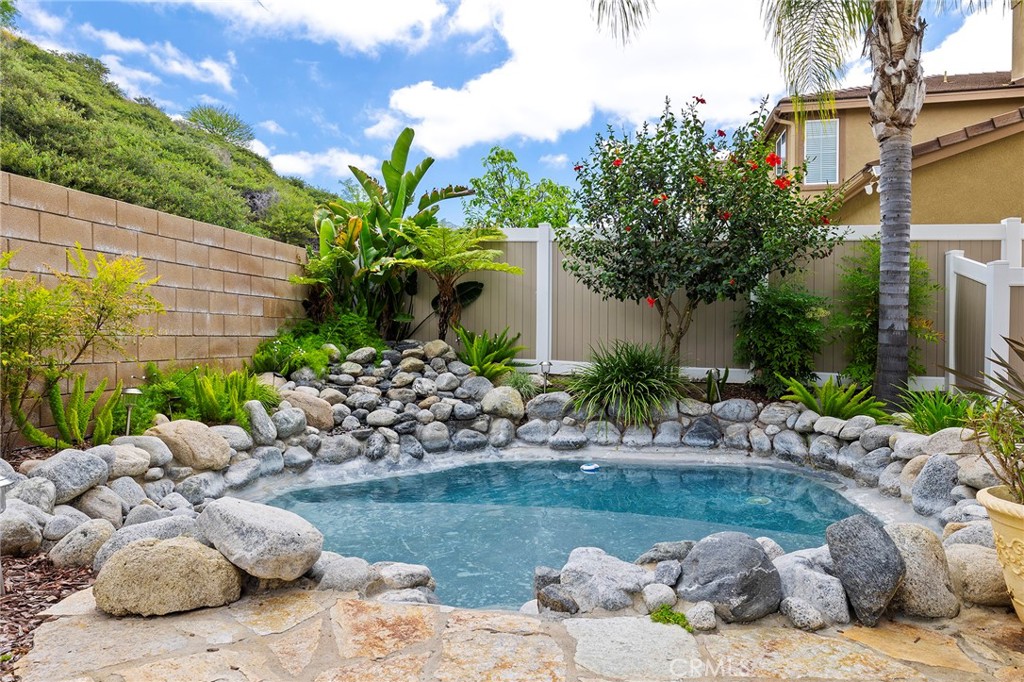 27335 Snowfield Street