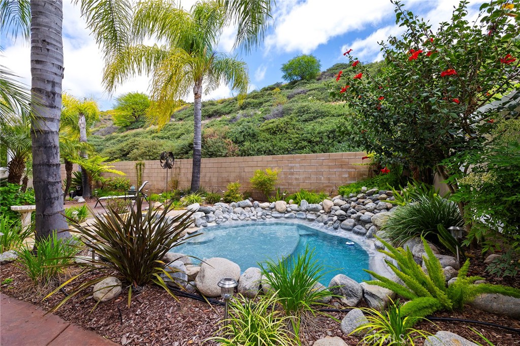 27335 Snowfield Street