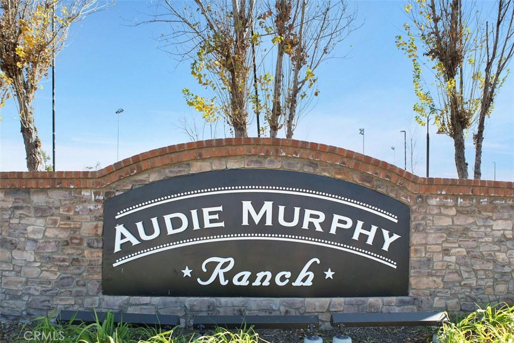 30041 Long Shadow Circle