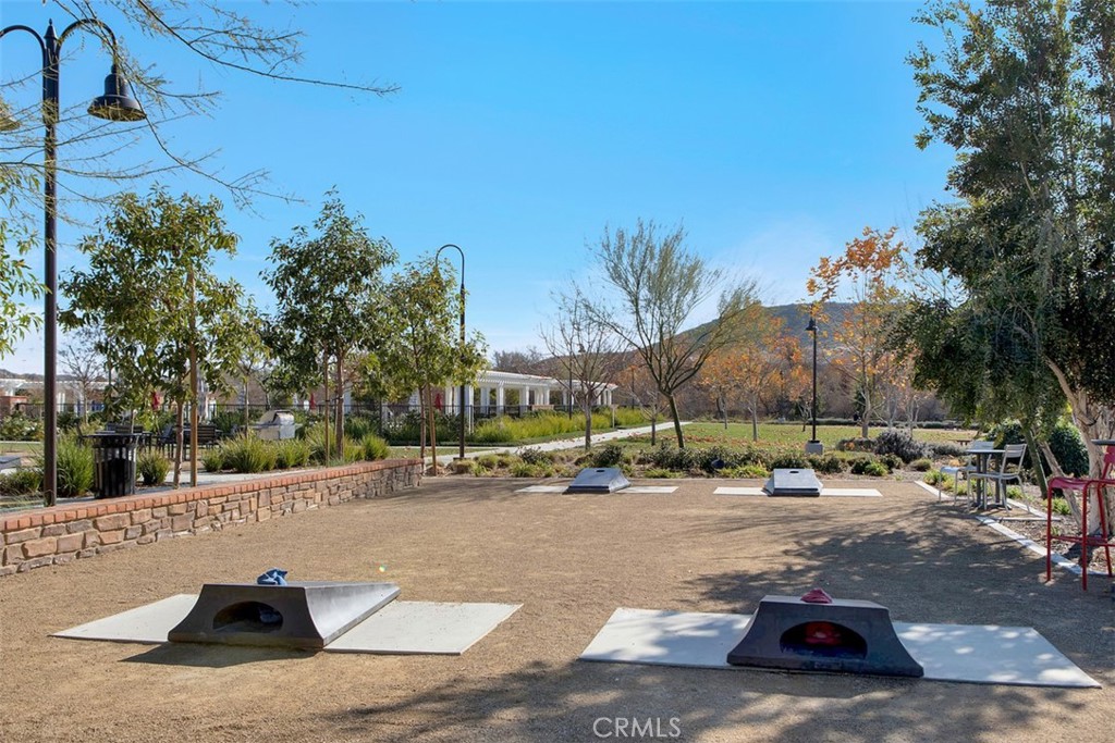 30041 Long Shadow Circle