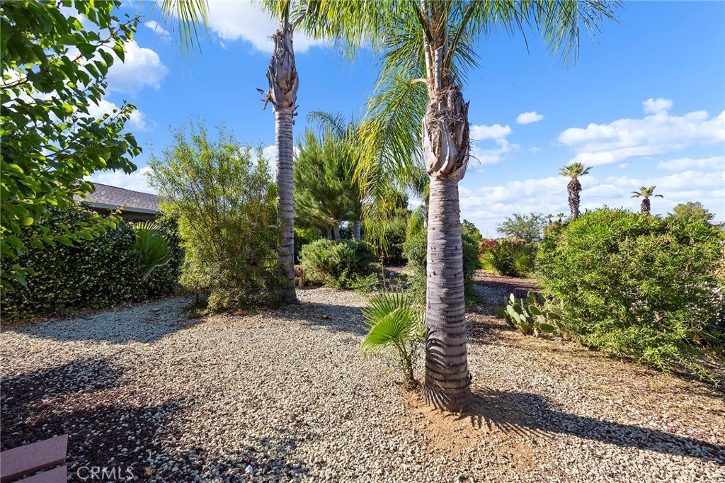 27910 Grosse Point Drive