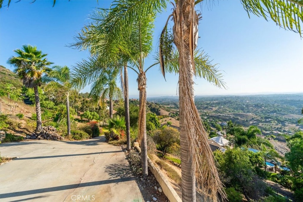 3343 Red Mountain Heights Drive