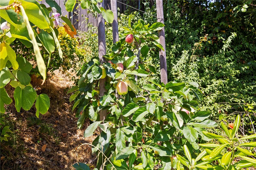 1535 Silverado Drive