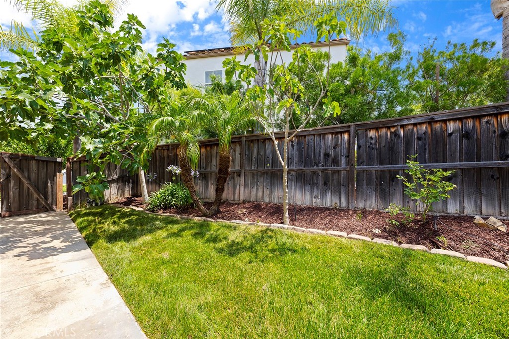 45409 Tiburcio Drive