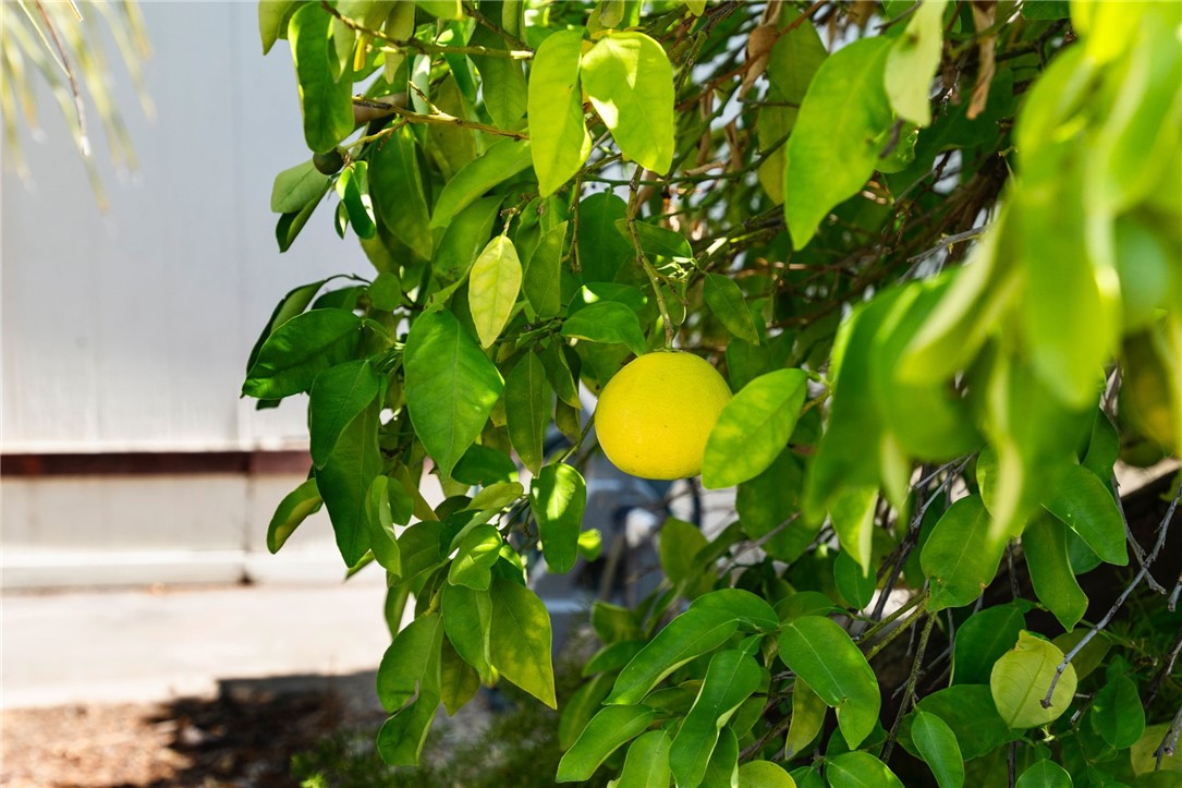 9255 Magnolia Avenue 329