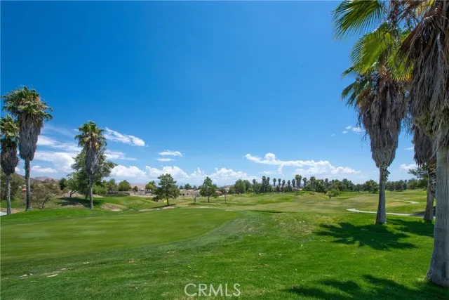 29314 Warmsprings Drive