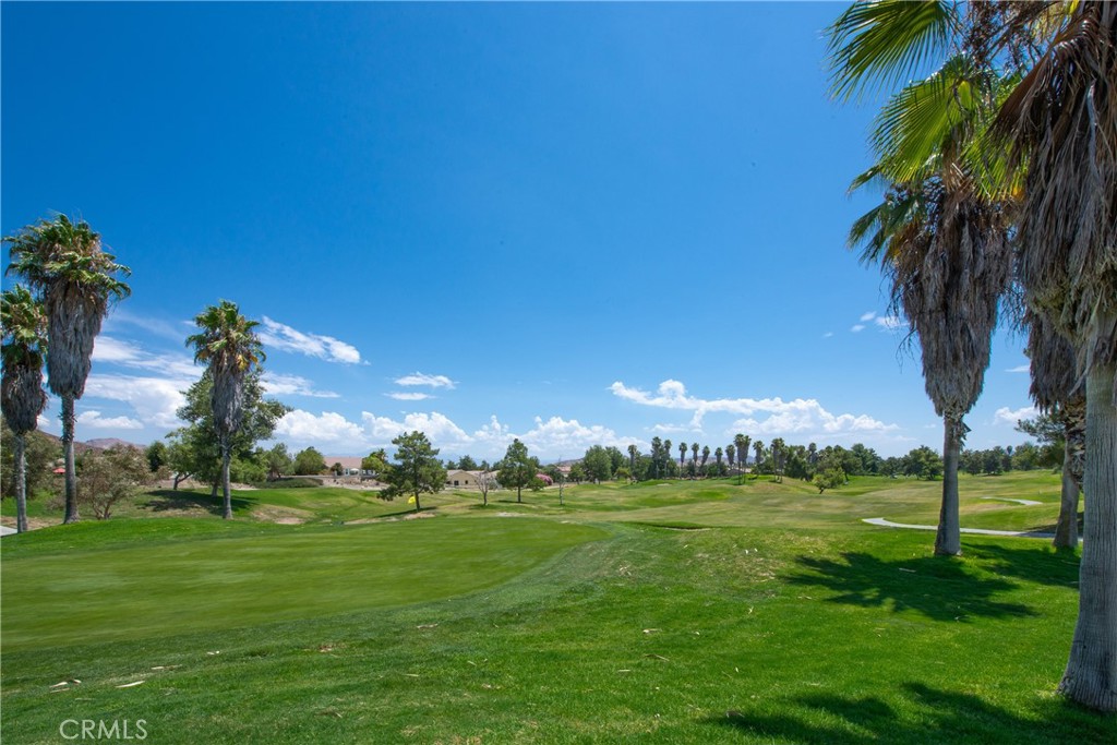 29314 Warmsprings Drive