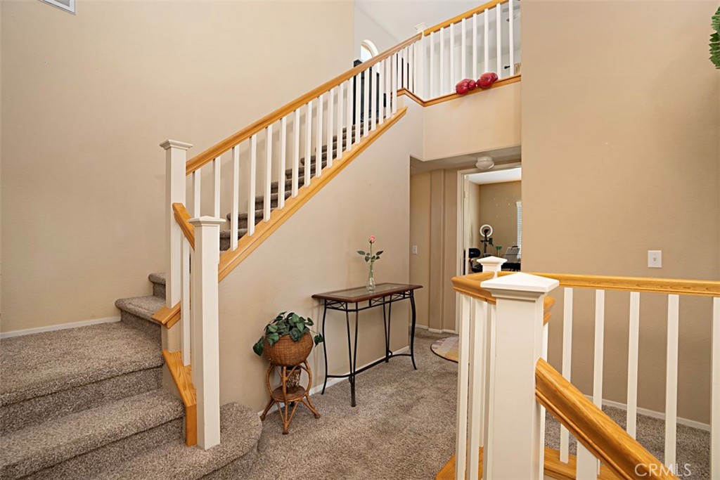 26403 Arboretum Way 2304