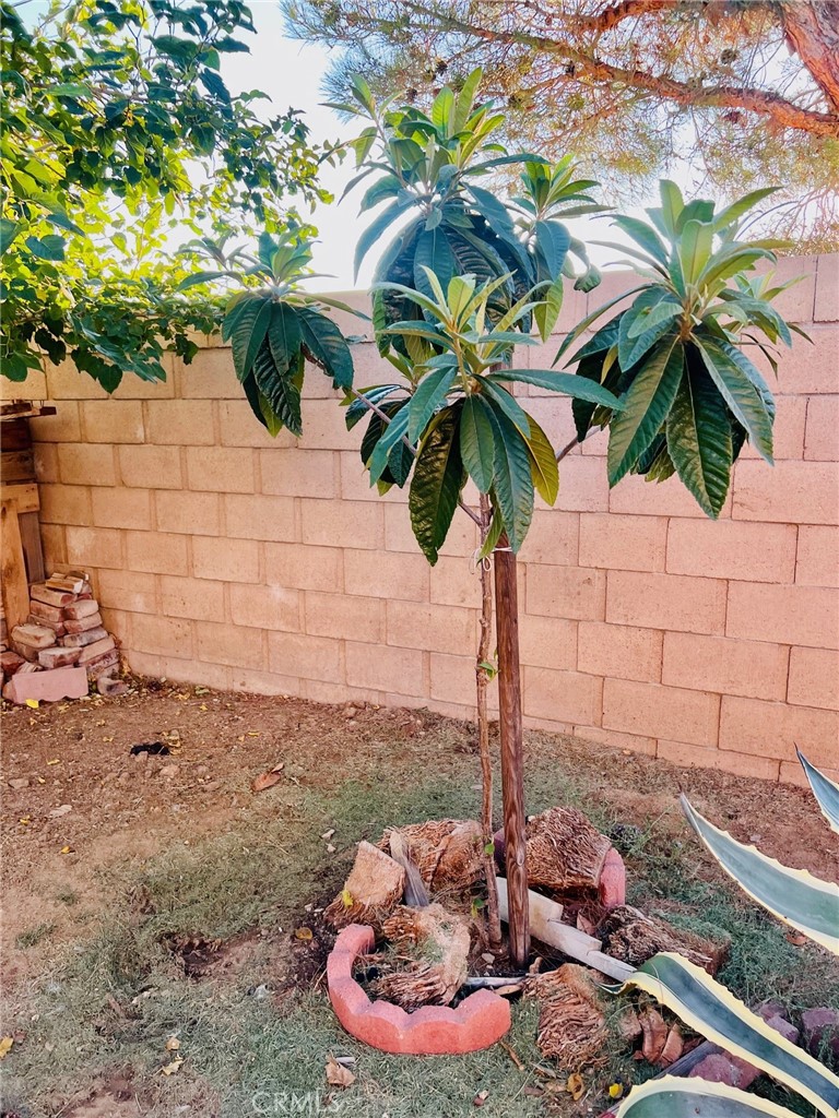 12356 Bridgewood Lane