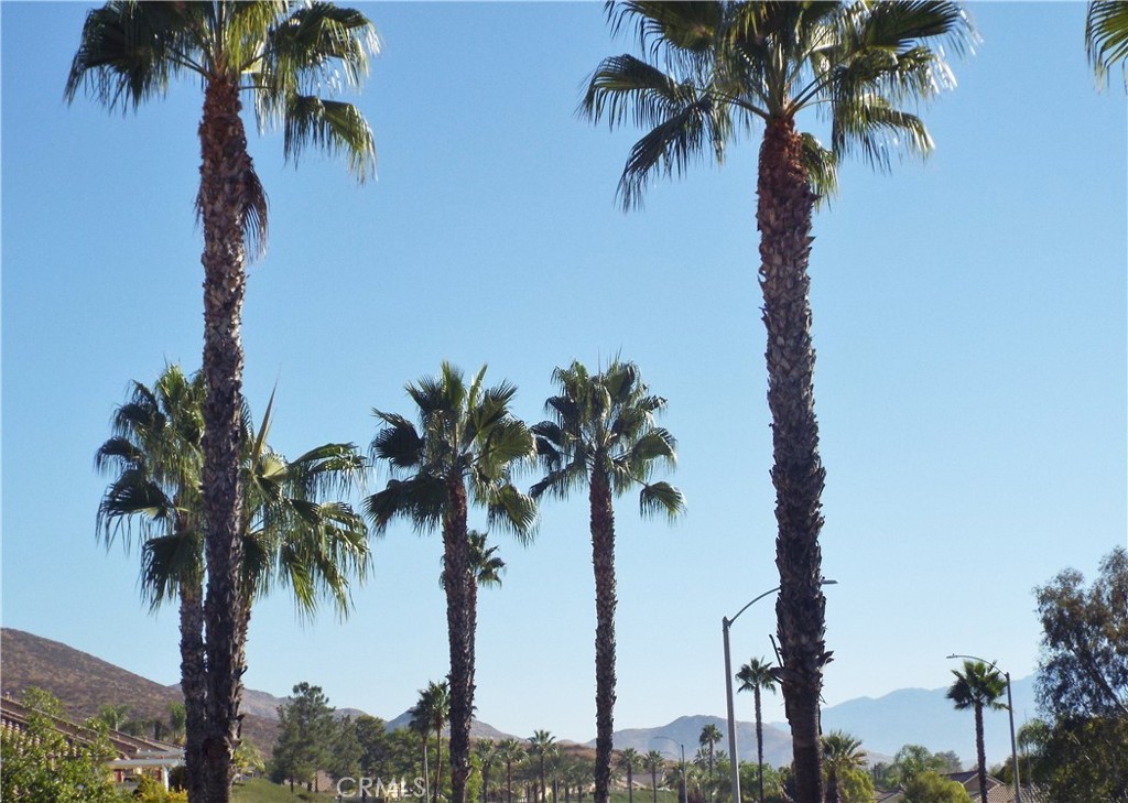 28269 Panorama Hills Drive