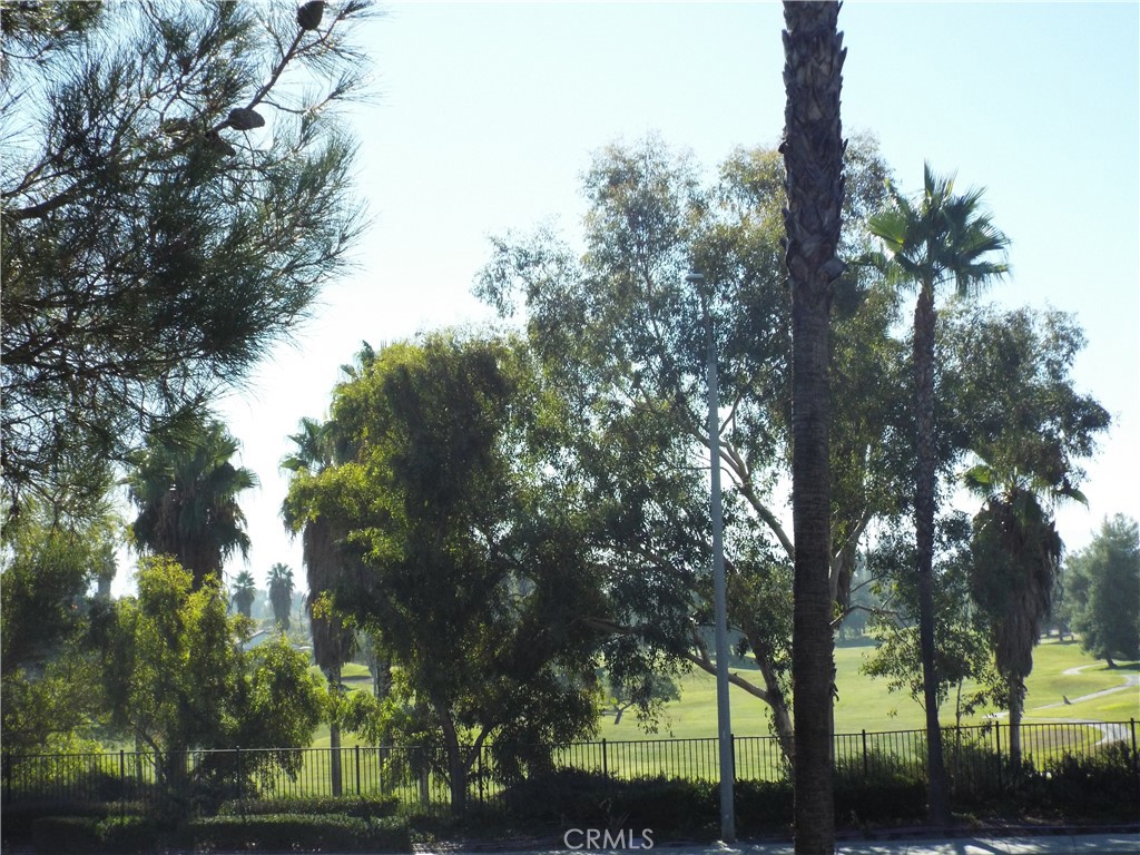 28269 Panorama Hills Drive