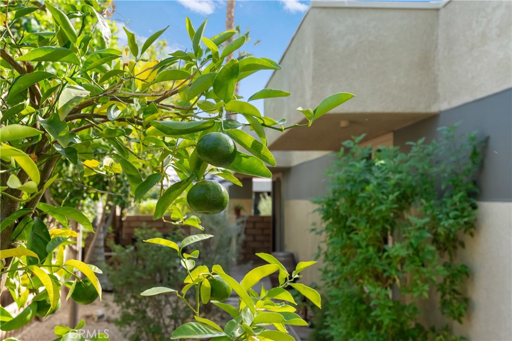 1380 Sunflower Circle S