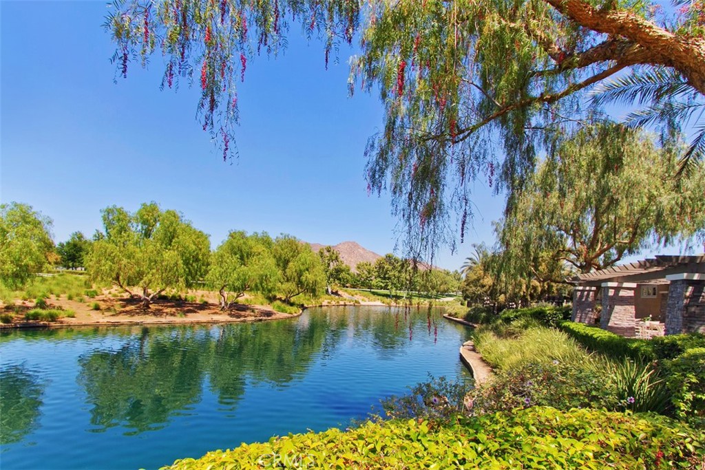 28242 Lookout Point Lane