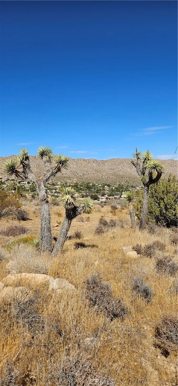 54610 Navajo