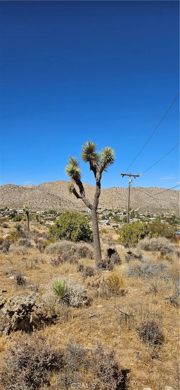 54610 Navajo