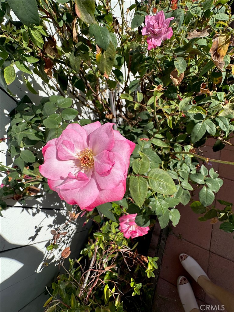 1350 San Bernardino Road 22