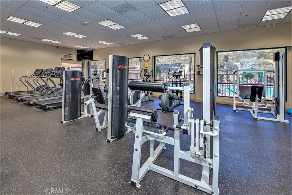 28380 Raintree Drive