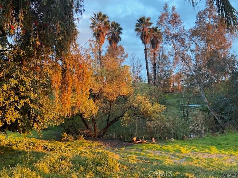 39174 Marcus Drive
