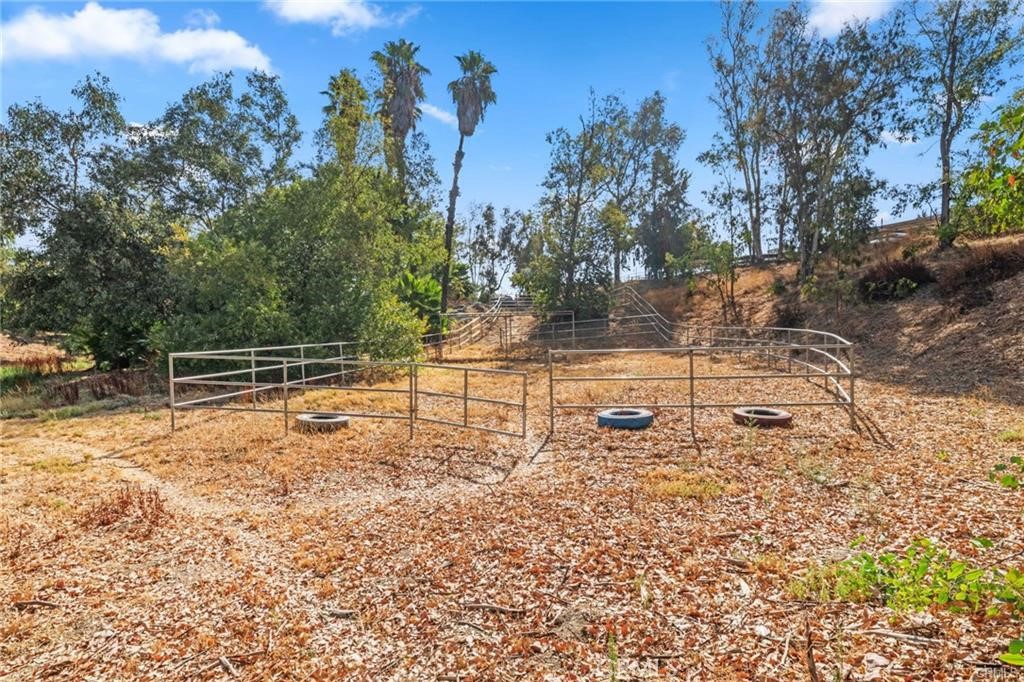 39174 Marcus Drive