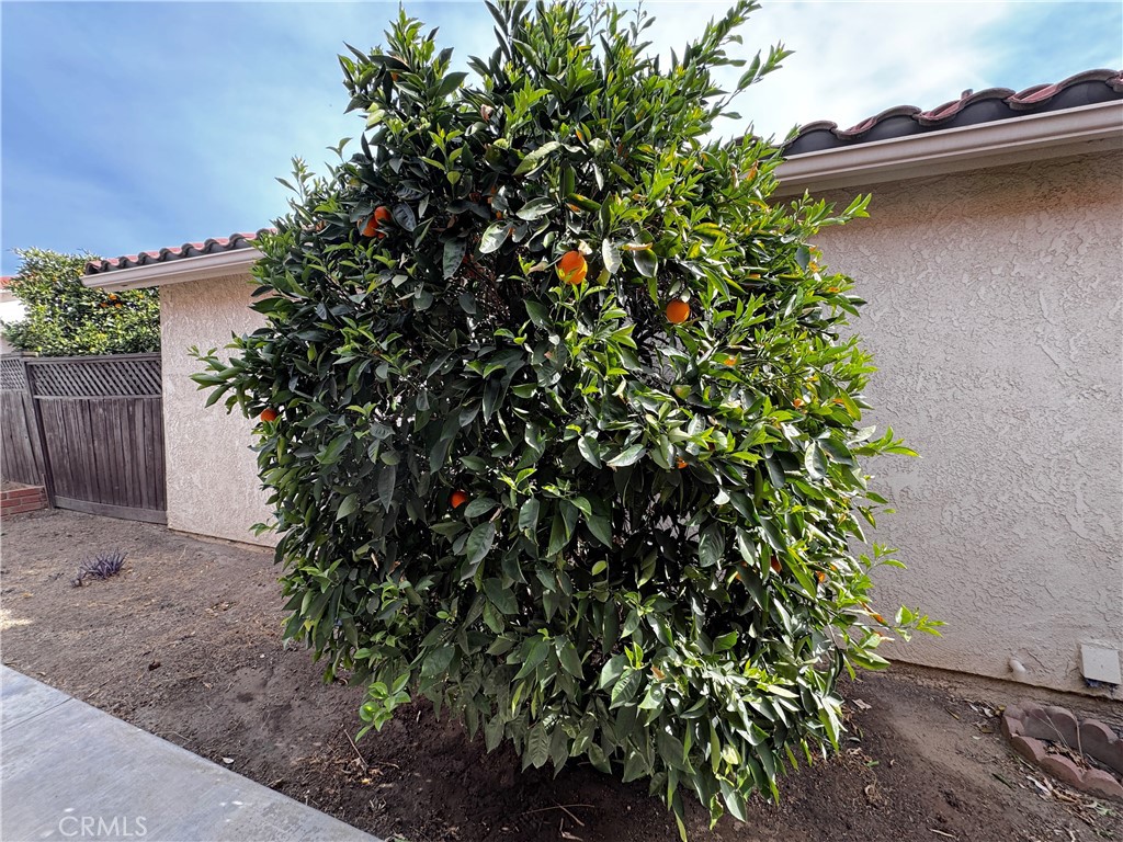 26218 Shadywood Street