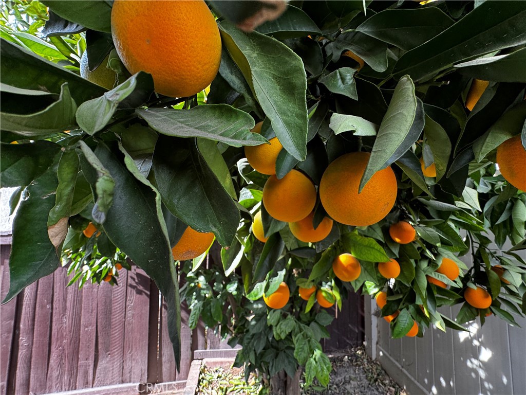 26218 Shadywood Street